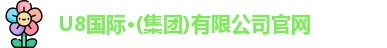 U8国际
